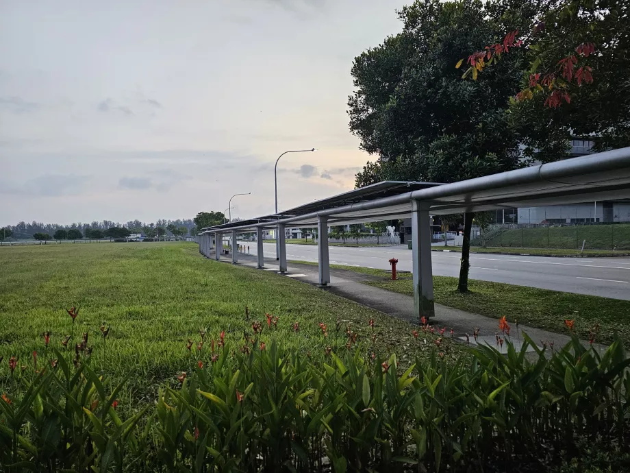 The way to the bus stop