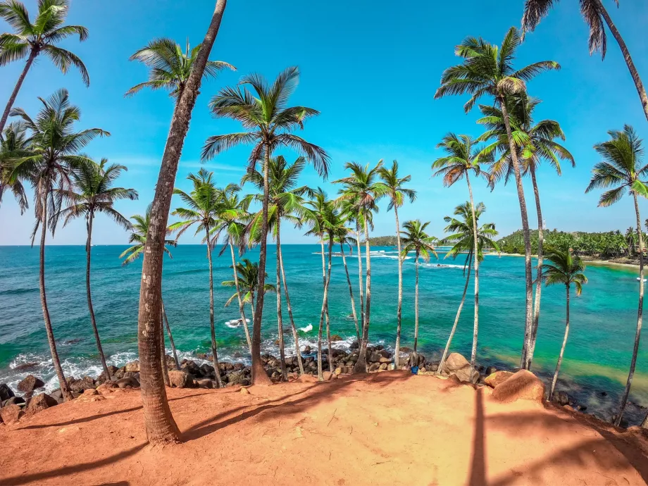 Sri Lanka - palm trees and sea