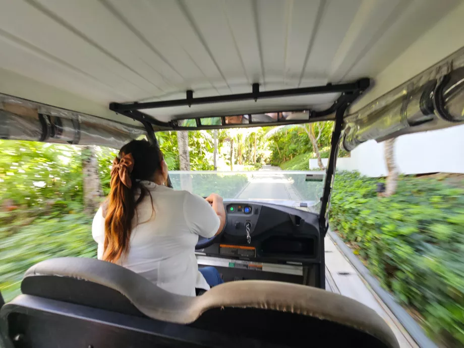 Golf cart ride